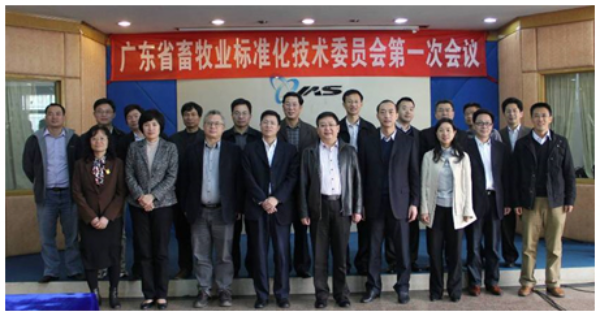 图片说明