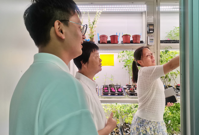 植保所主题党日活动66003.jpg