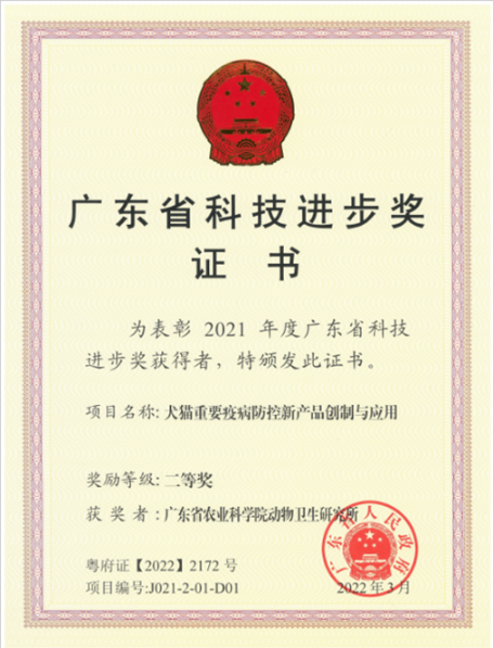 图片13.png