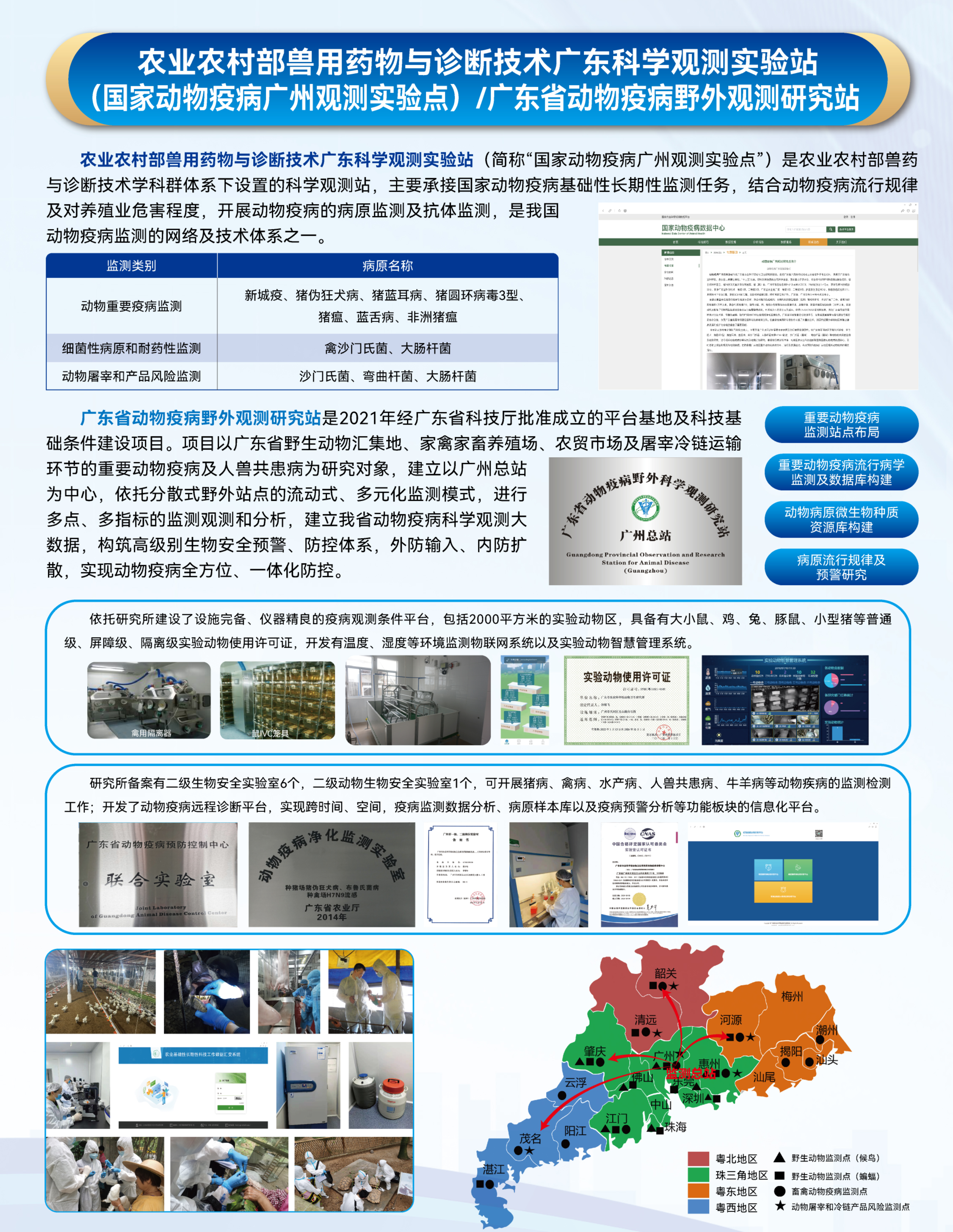 已编辑图片