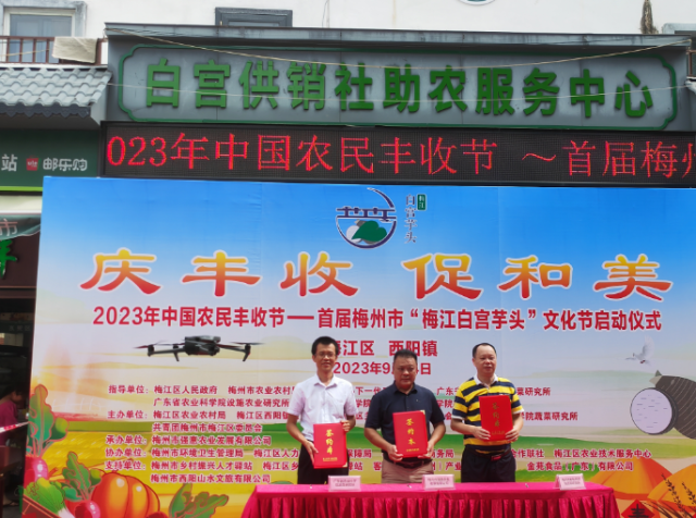 签约现场
