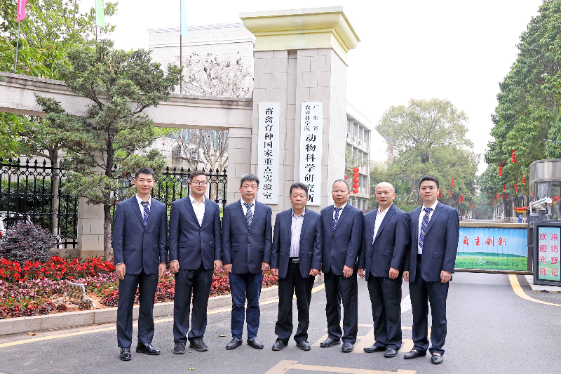 图片说明