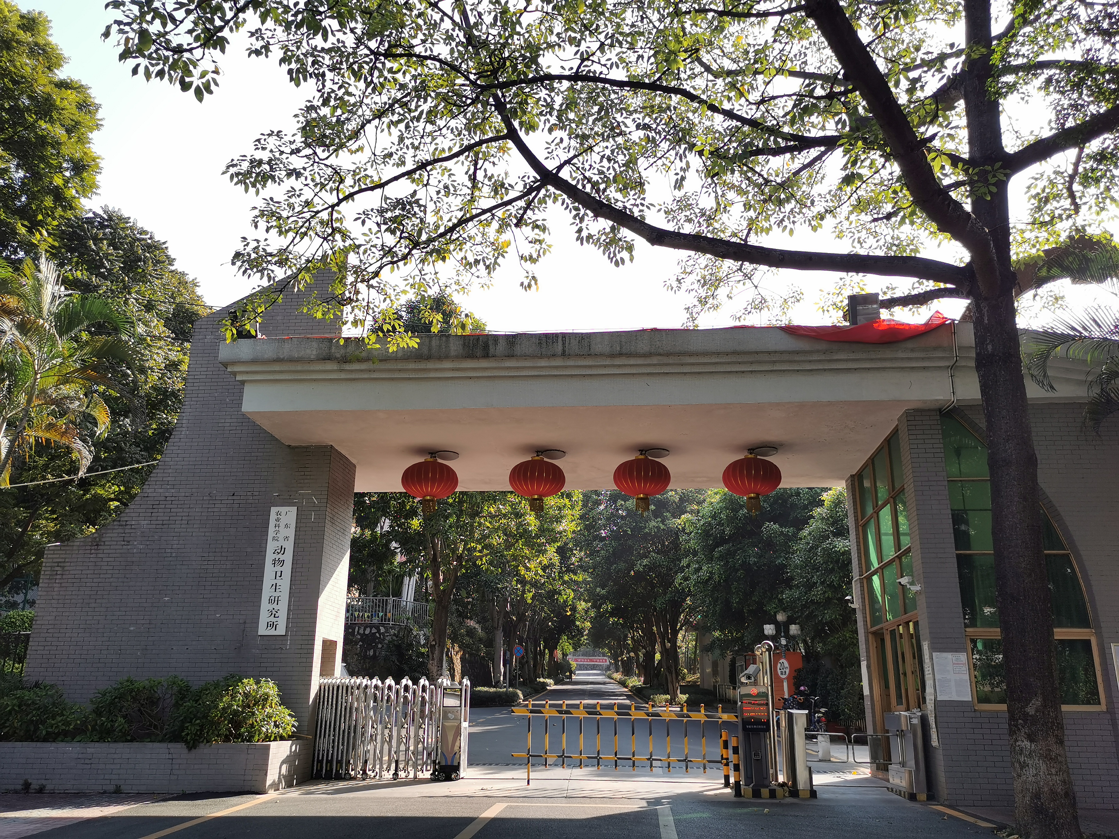 元宝娱乐优惠门口.jpg