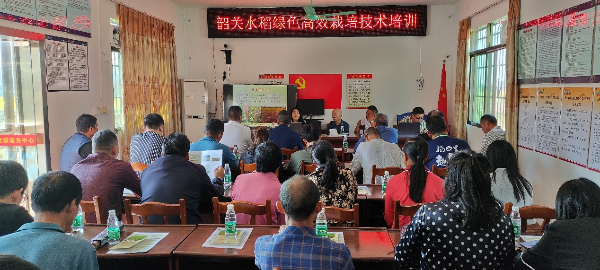 已编辑图片