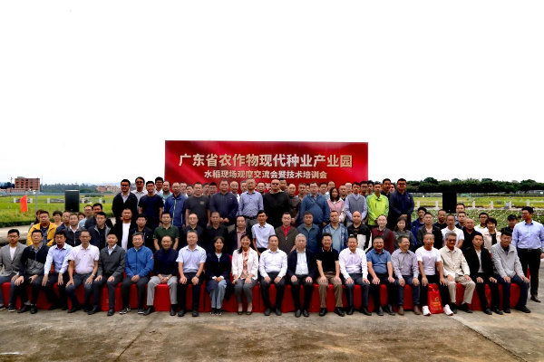 已编辑图片