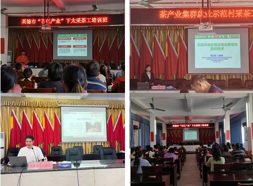 QQ图片20231103150708.jpg