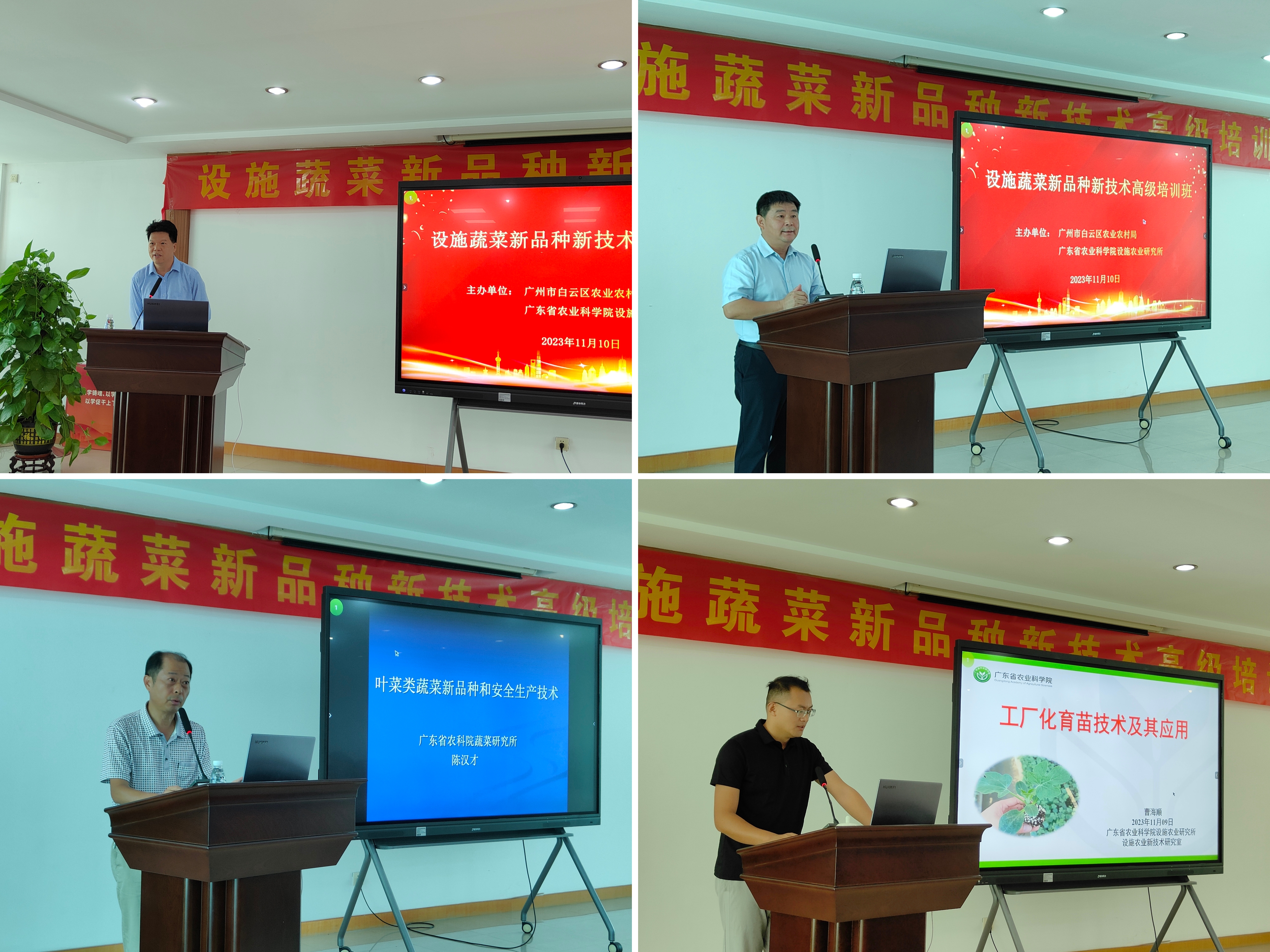 若拼图可用这张.jpg