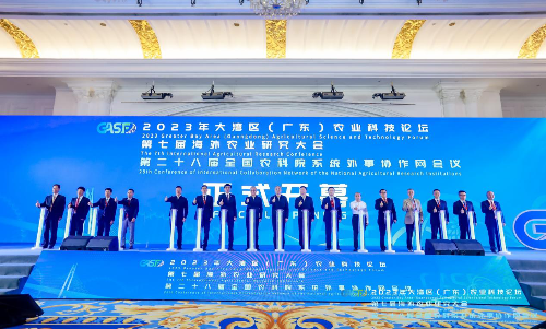 已编辑图片