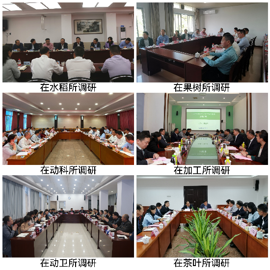 已编辑图片