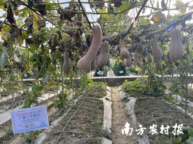 受访者供图