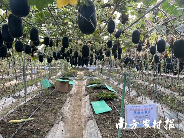 受访者供图
