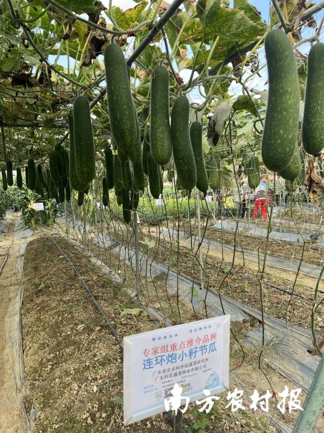 受访者供图
