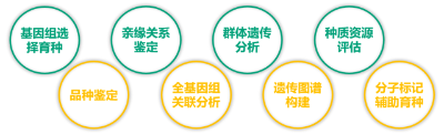 图片6.png