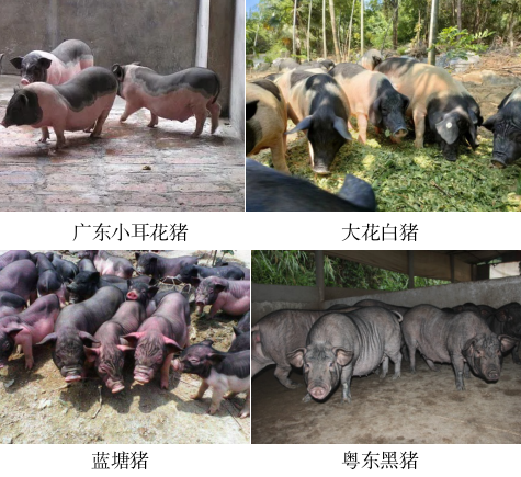 微信图片_20240103170952.png