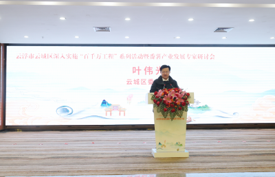 云浮市云城区委书记叶伟光致辞。
