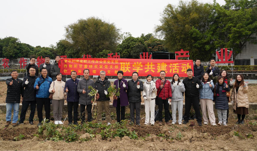图片11.png