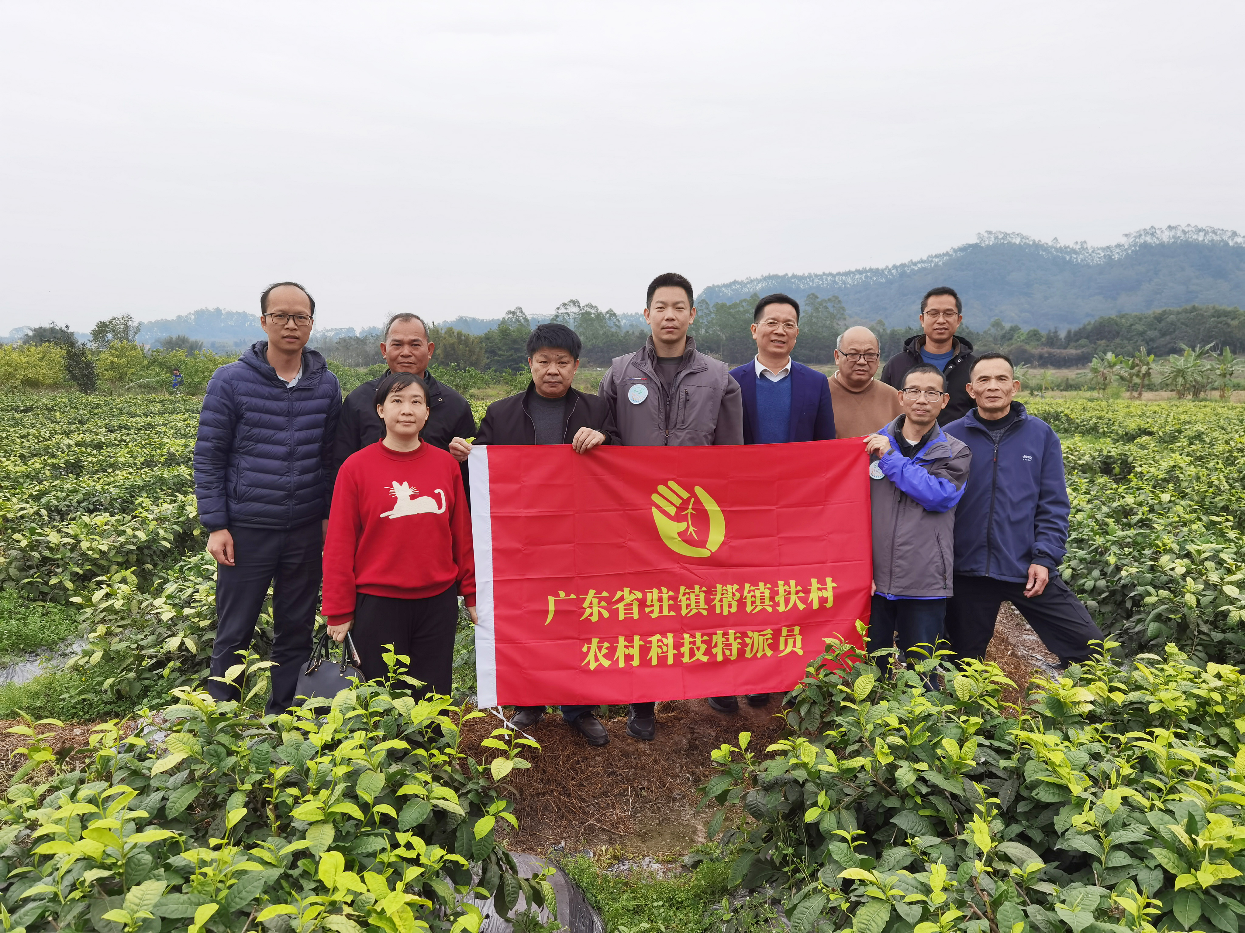 图片1.png