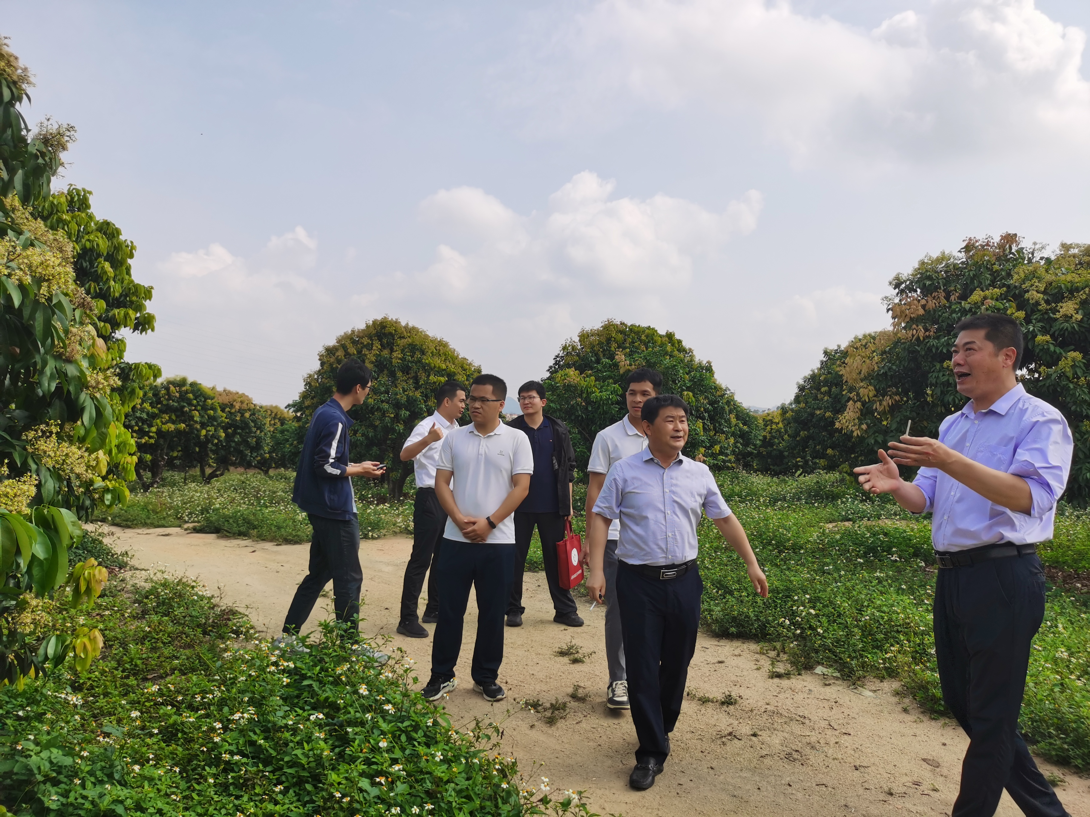 在茂名市众润农业科技发展有限公司考察标准化荔枝园建设情况.jpg
