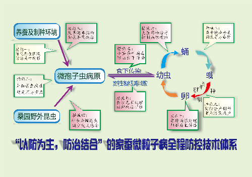 图片14.png