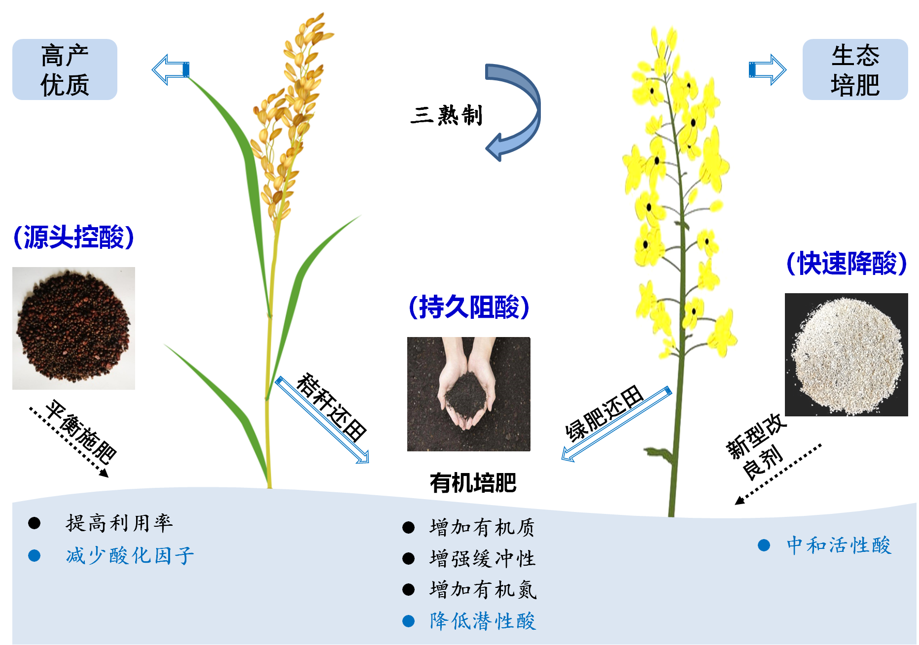 0图片1.png