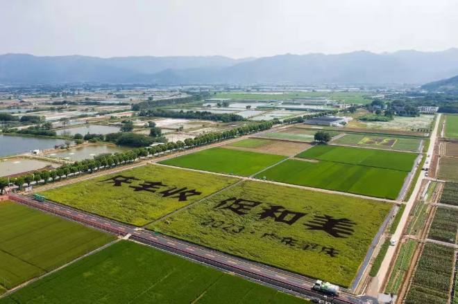 文章配图