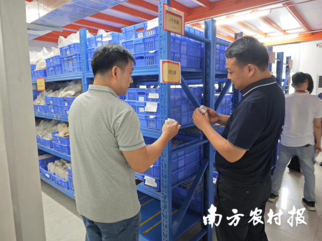 检查组专家正在仔细检查样品标签