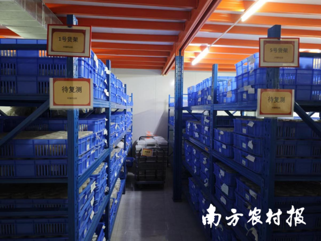 陈列的土壤样品