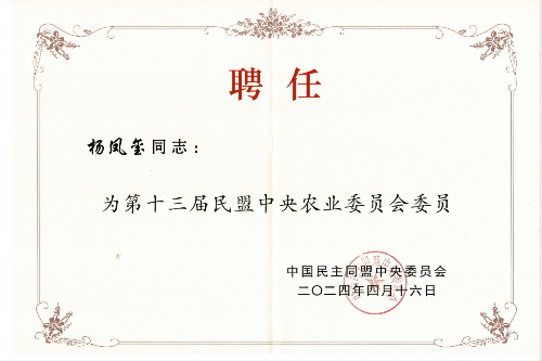 已编辑图片