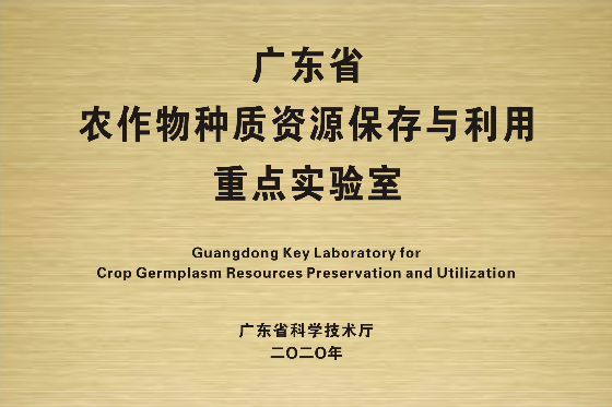 图片18.png