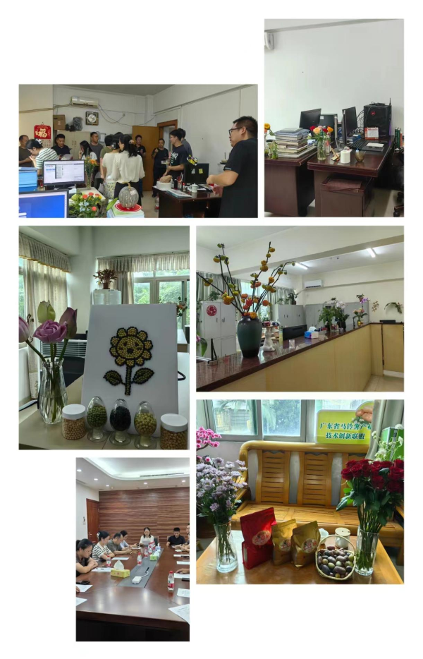 图片113.png
