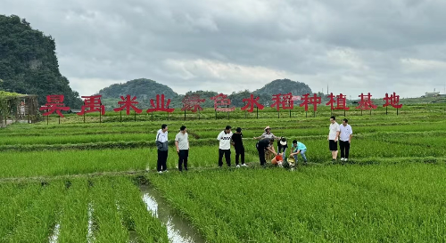 植保所农村科技特派员到安顺开展科技服务.jpg