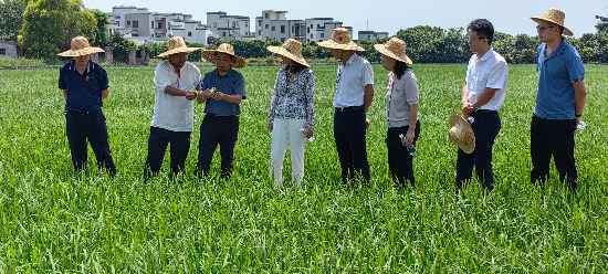 植保所到高州、电白开展“百千万工程”科技对接服务.jpg