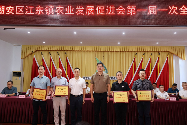 图片11.png