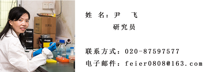 尹飞名片模板.jpg