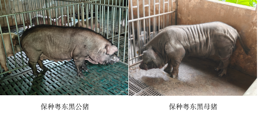微信图片_20240925122537.png