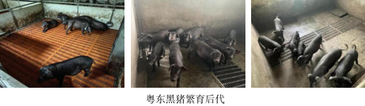 微信图片_20240925122542.png