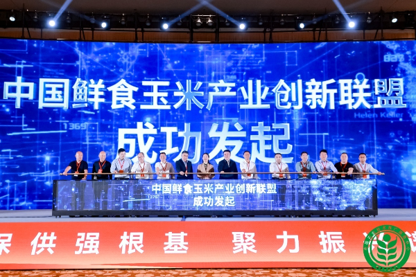 图片3-1.png